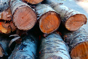 buy hardwood logs